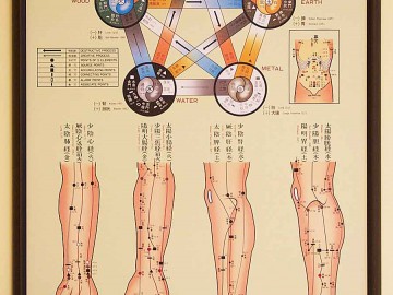 rochester_acupuncture_treatment_room_2_five_element_chart