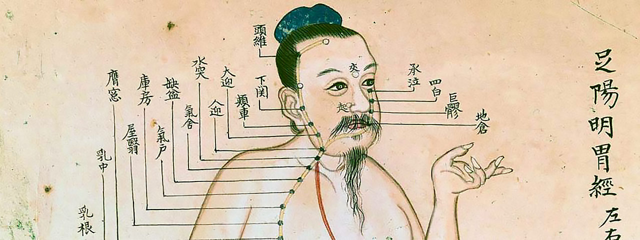 Traditional Chinese acupuncture chart