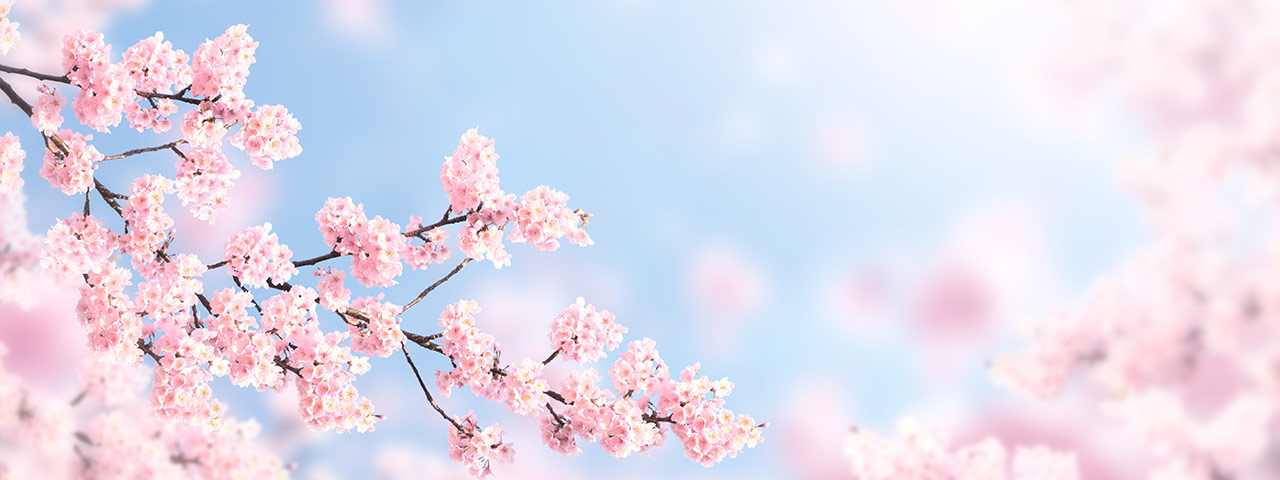 Women’s health and wellness